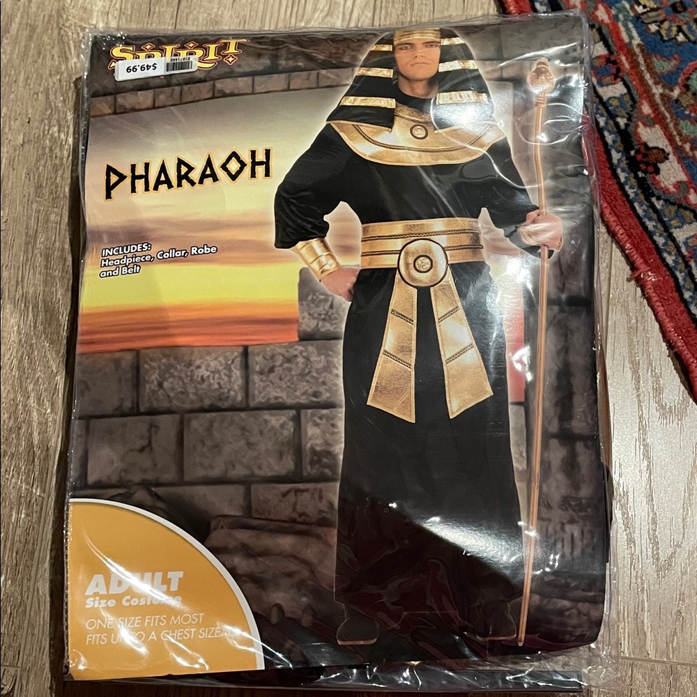 Spirit Pharaoh Adult Costume - Black and Gold